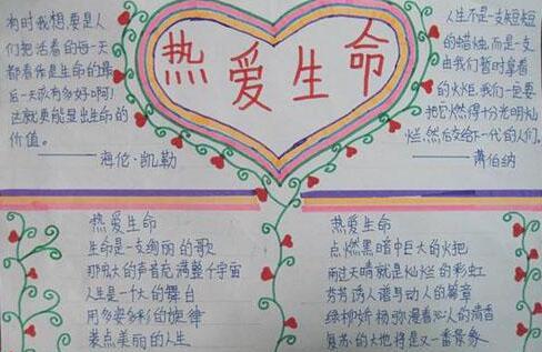 敬畏生命手抄报好看的