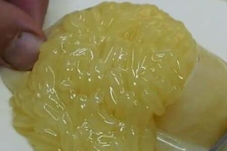 章鱼里面的大米是什么