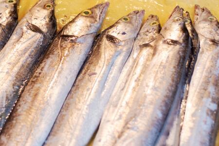 带鱼里面的白色硬块是什么