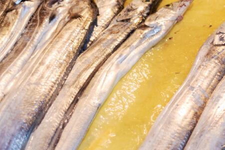 带鱼胆固醇含量高吗