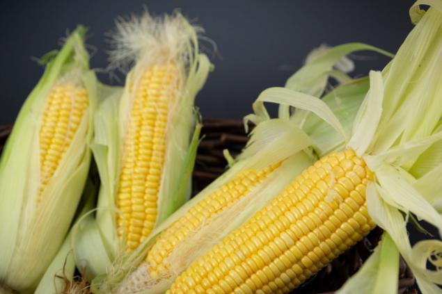 玉米衣是什么垃圾 玉米外壳属于什么垃圾