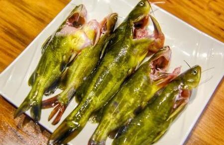 黄颡鱼的功效与作用