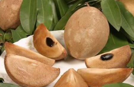 人心果不能和什么同吃