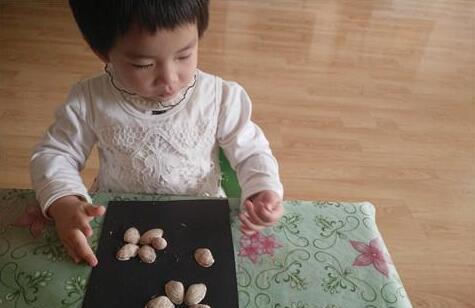 幼儿园百变贝壳手工教案