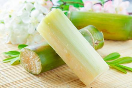 甘蔗渣是什么垃圾 吃过的甘蔗是什么垃圾