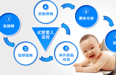 您有一份试管婴儿费用账单，请注意查收！