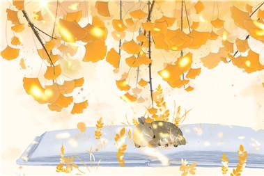 2019年立秋是几月几日几点几分 截止时间是多少