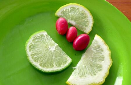 神秘果什么人不能吃