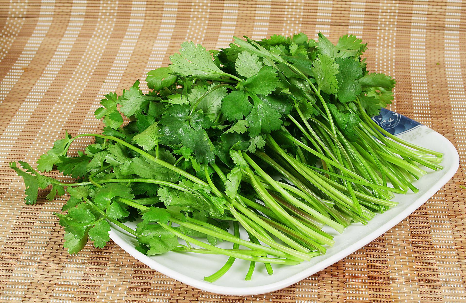 香菜的功效有哪些 香菜的营养价值