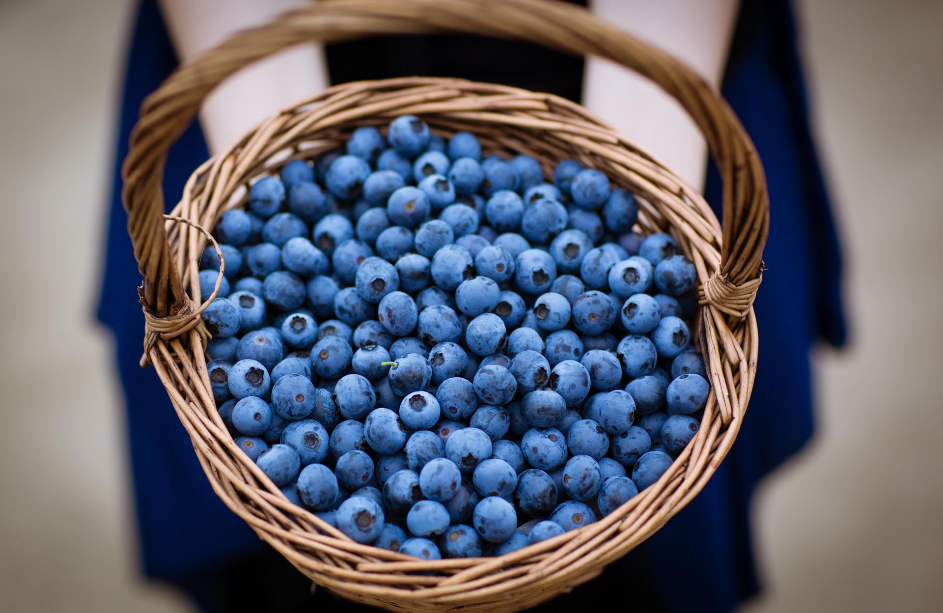 疫情期间能吃蓝莓吗