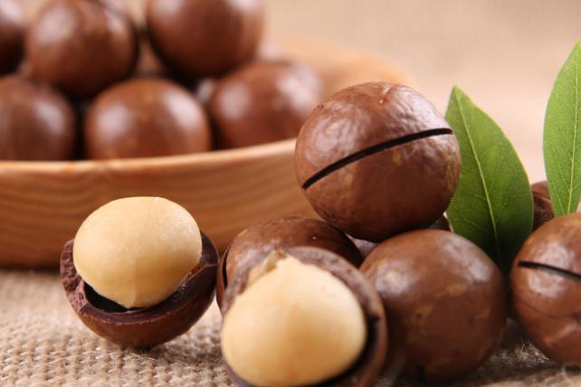 夏威夷果壳是什么垃圾