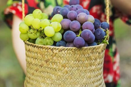 孕妇吃葡萄和提子的效果一样么