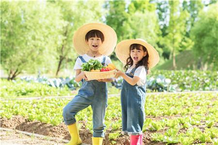 2020年中小学暑假放假时间表 2020年中小学什么时候放暑假