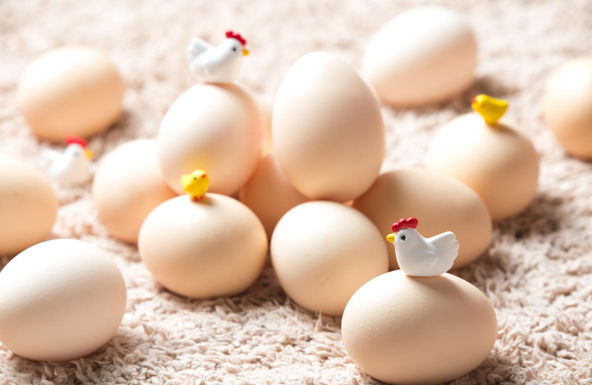 鸡蛋的做法 鸡蛋的食疗方推荐