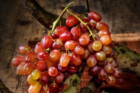 孕妇吃葡萄会长胎吗