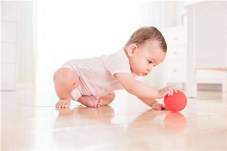 2020年二月二出生的男孩命运