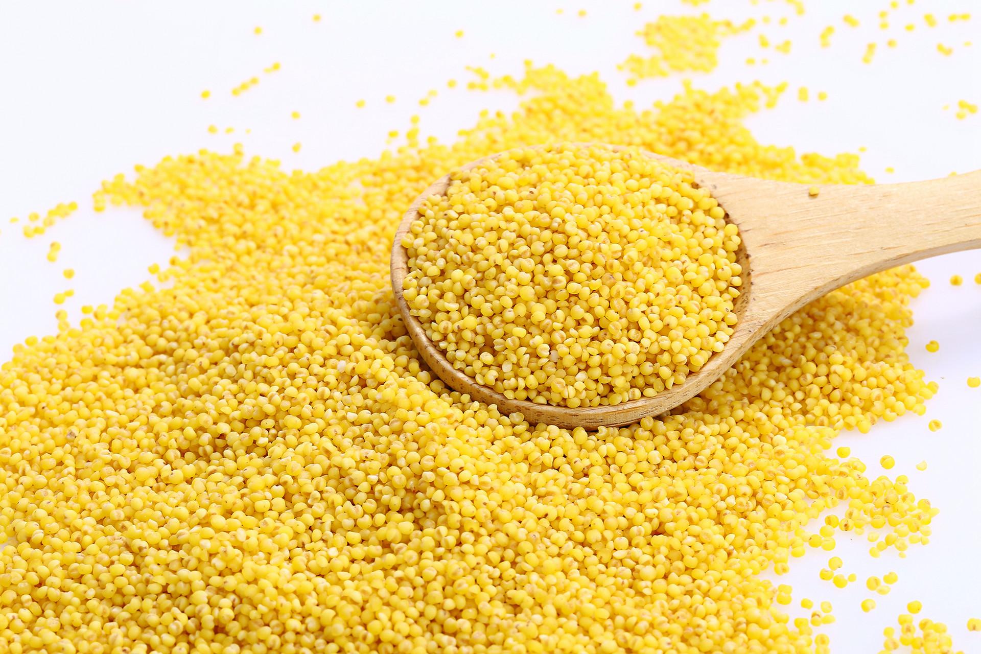 茯苓小米粥的功效与作用