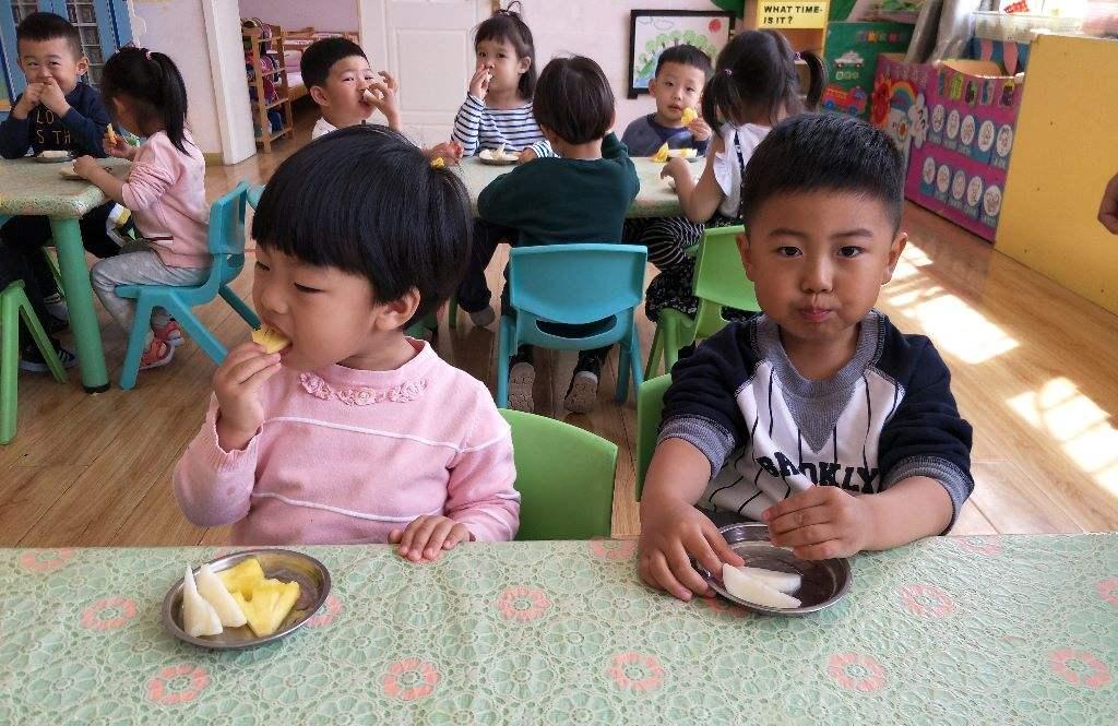 中班科学酸酸甜甜的草莓教案