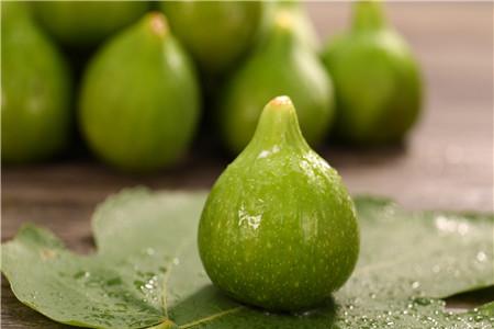 无花果树枝治阴囊湿疹的方法