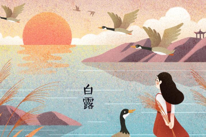 2019年白露时间是几点几分 2019年白露是几时几分几秒