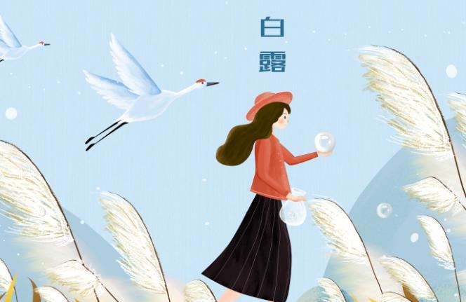 2019年的白露是几月几日星期几 2019年的白露是哪一天几点钟