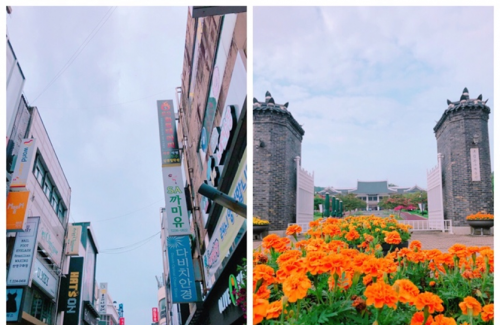 紧跟贝因美 孙杨迷妹带娃追星