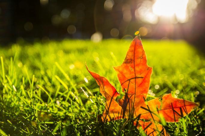 2019年什么时候降温 2019年高温什么时候结束