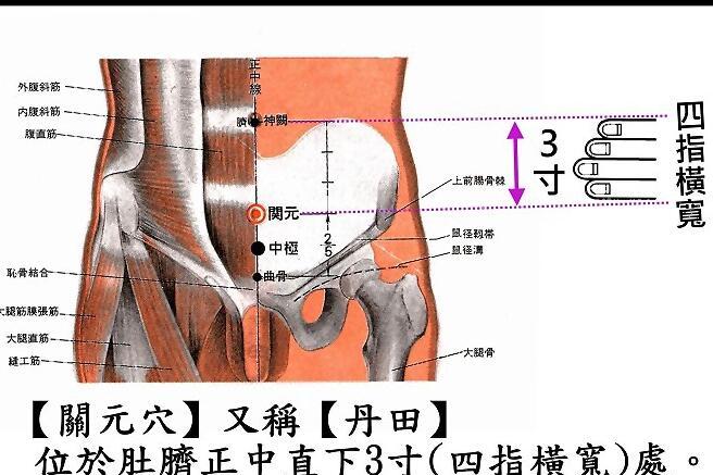 关元的准确位置图和按摩手法