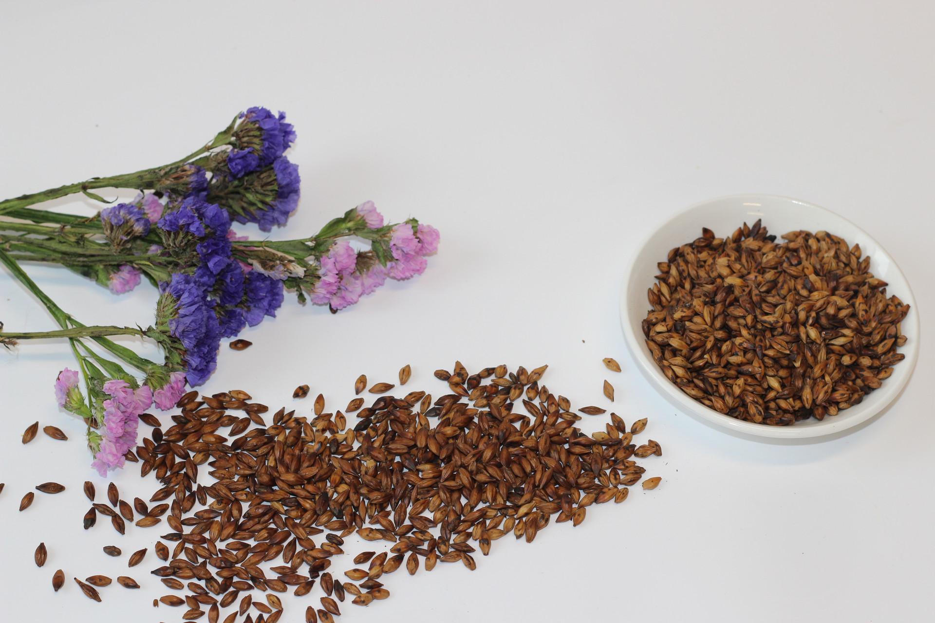 喝大麦茶的禁忌