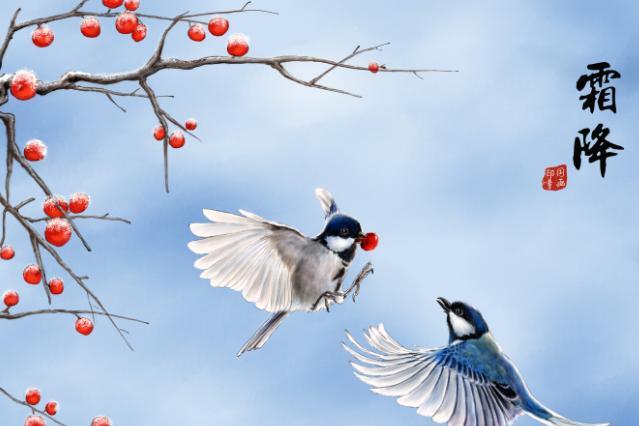 2019年霜降是几月几日几点几分 2019年霜降是哪一天