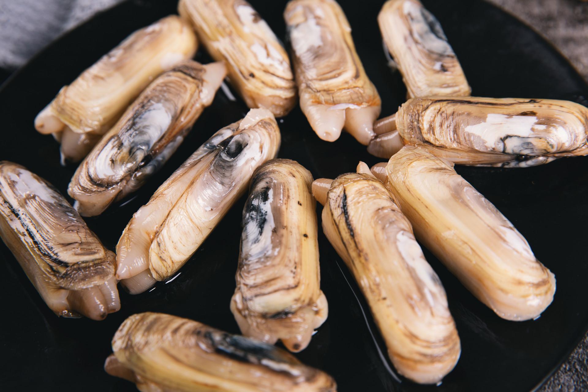 蛏子煮多长时间能熟