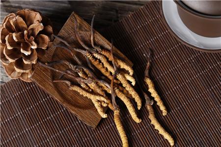 海马和冬虫夏草可以一起吃吗