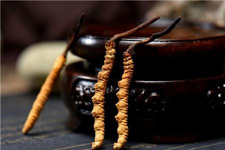 冬虫夏草煲汤做法大全