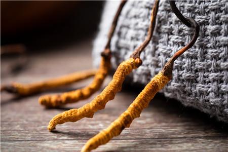 冬虫夏草保质期多久 冬虫夏草可以保存几年