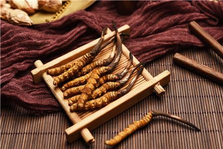 冬虫夏草可以和枸杞一起泡水喝吗