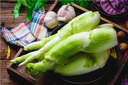 茭白的副作用 食用不当小心这些危害