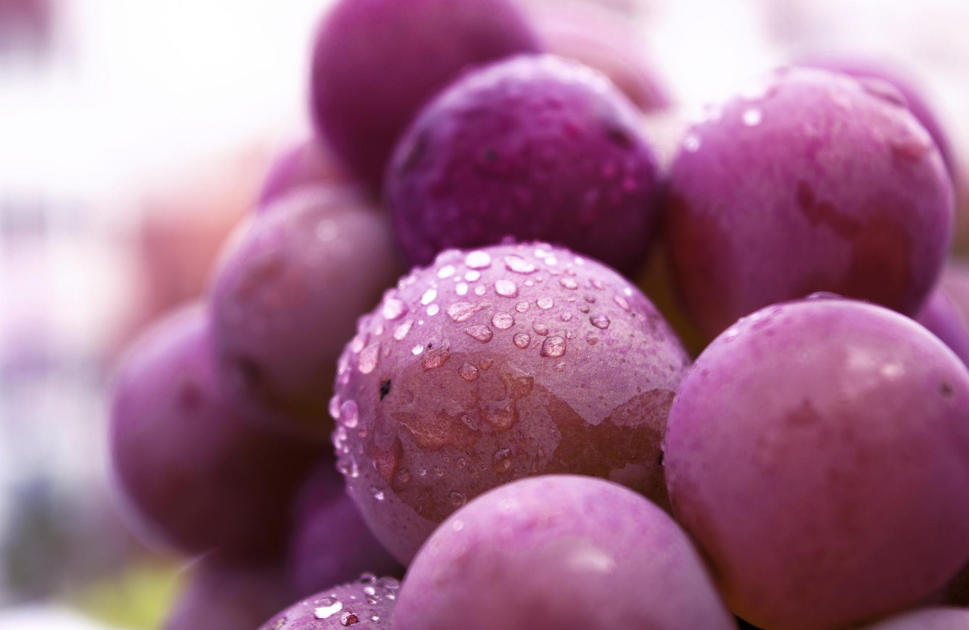 不同品种葡萄的功效与作用