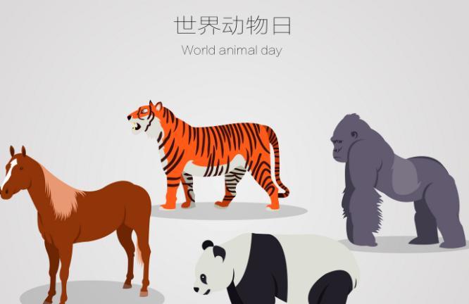 世界动物日宣传标语 世界动物日公益广告语