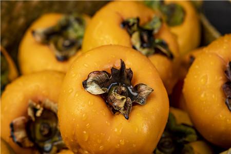 脆柿子是青皮可以吃吗