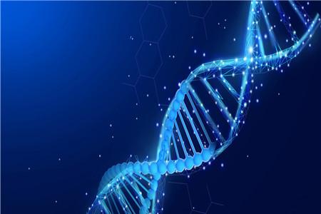 亲子鉴定多少钱一次