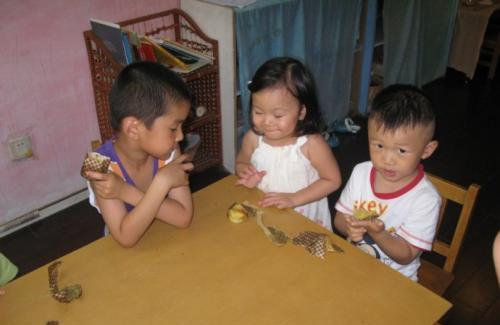 幼儿园绘本小种子教案
