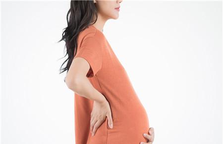孕27周胎儿股骨长标准值是多少