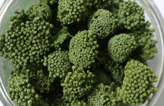 宫寒可以吃三七花吗