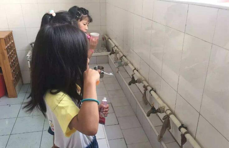 托班健康爱洗脸的小熊教案