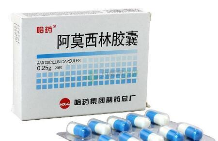 血精症可以吃阿莫西林吗