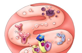 妈咪爱帮助壮大有益菌群队伍，调整好宝宝肠道