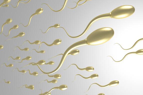 二胎不孕需要检查抗精子抗体吗