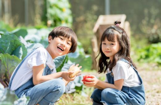 男孩要晚一年上学吗 男孩应不应该晚一年上学