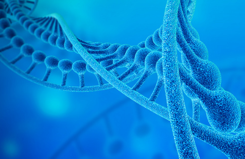 抗精子抗体怎么检查 抗精子抗体检查哪几项