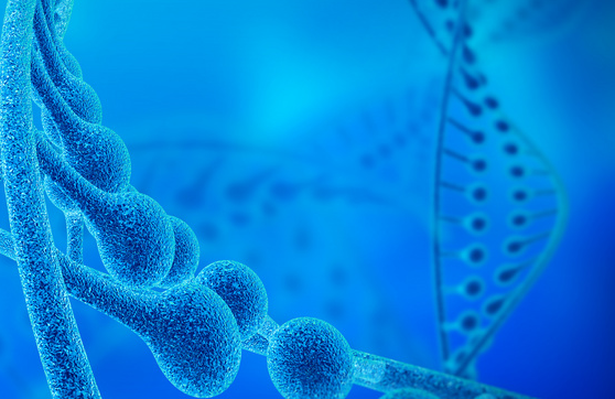 抗精子抗体检查大概需要多少钱